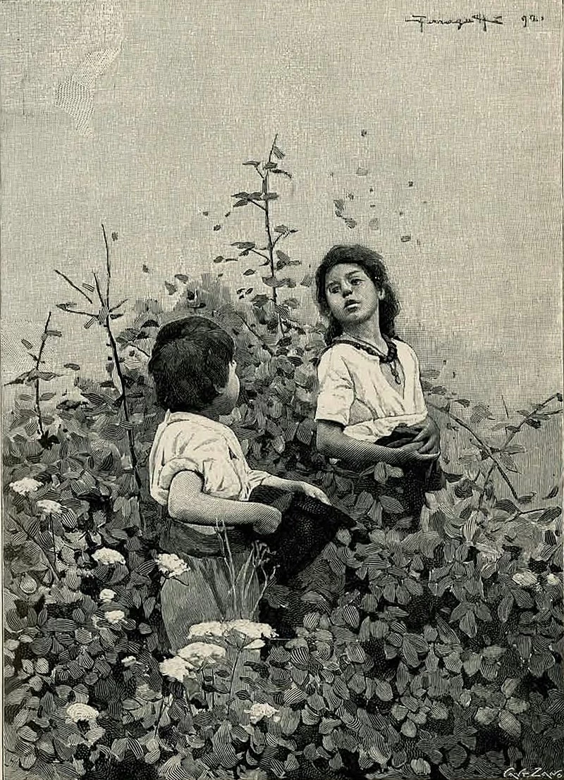 Verga - Vita dei campi, Treves, 1897 166